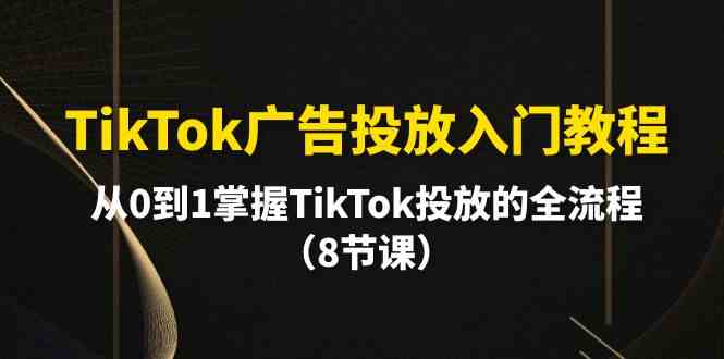 （10085期）TikTok广告投放入门教程，从0到1掌握TikTok投放的全流程（8节课）-天孤无涯网