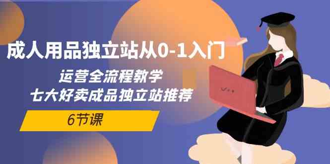 （10082期）成人用品独立站从0-1入门，运营全流程教学，七大好卖成品独立站推荐-6节课-天孤无涯网