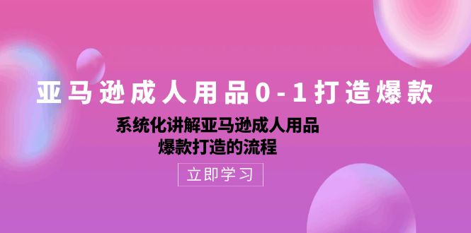 （10493期）亚马逊成人用品0-1打造爆款：系统化讲解亚马逊成人用品爆款打造的流程-天孤无涯网