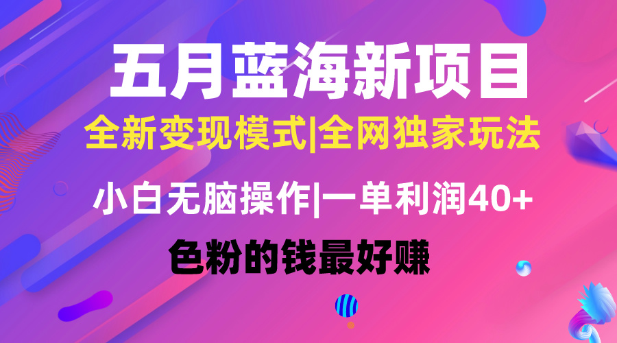 （10477期）五月蓝海项目全新玩法，小白无脑操作，一天几分钟，矩阵操作，月入4万+-天孤无涯网