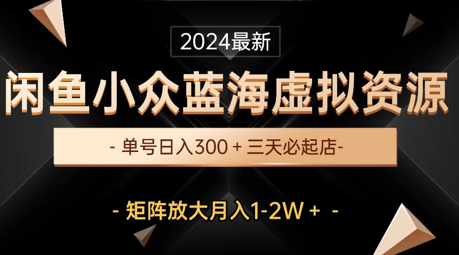 （10336期）最新闲鱼小众蓝海虚拟资源，单号日入300＋，三天必起店，矩阵放大月入1-2W-天孤无涯网