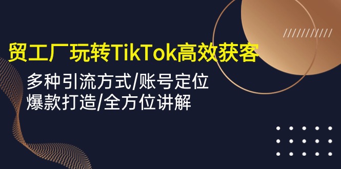 （10302期）外贸工厂玩转TikTok高效获客，多种引流方式/账号定位/爆款打造/全方位讲解-天孤无涯网