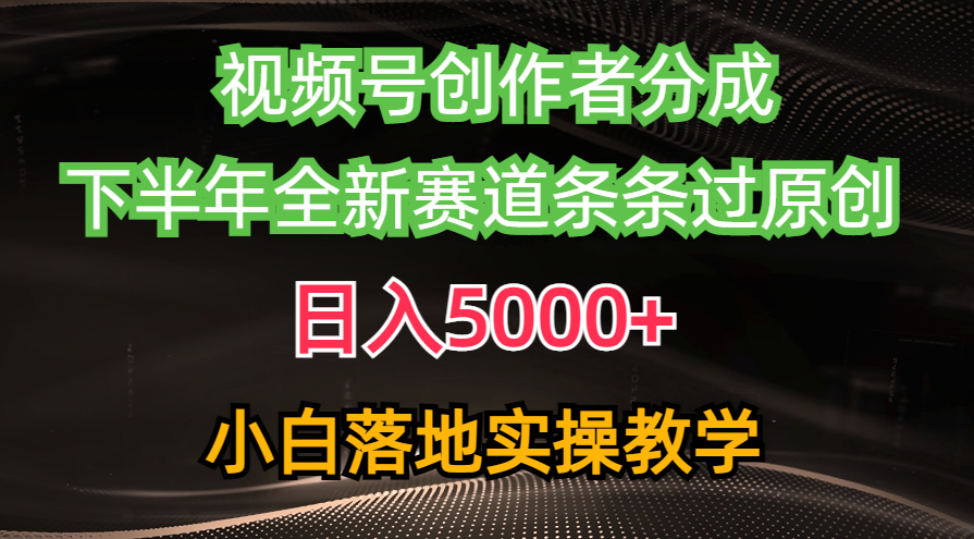 （10294期）视频号创作者分成最新玩法，日入5000+  下半年全新赛道条条过原创，小…-天孤无涯网