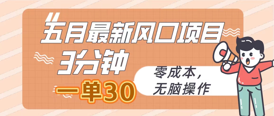 （10256期）五月最新风口项目，3分钟一单30，零成本，无脑操作-天孤无涯网