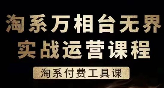 淘系万相台无界实战运营课，淘系付费工具课-天孤无涯网