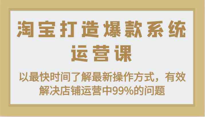 淘宝打造爆款系统运营课：以最快时间了解最新操作方式，有效解决店铺运营中99%的问题-天孤无涯网
