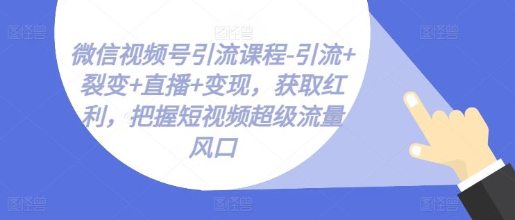 微信视频号引流课程-引流+裂变+直播+变现，获取红利，把握短视频超级流量风口-天孤无涯网