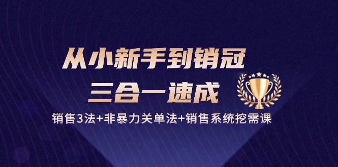 （10799期）从小新手到销冠 三合一速成：销售3法+非暴力关单法+销售系统挖需课 (27节)-天孤无涯网