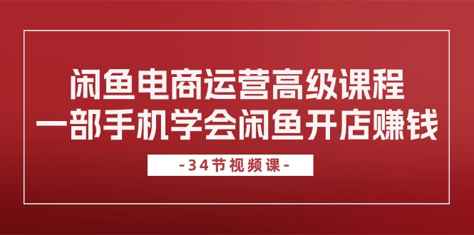 （10686期）闲鱼电商运营高级课程，一部手机学会闲鱼开店赚钱（34节课）-天孤无涯网