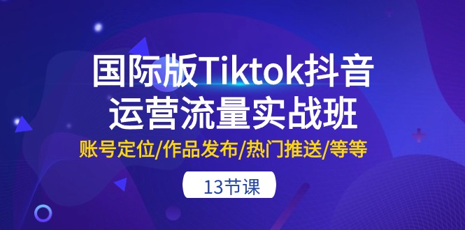 （10712期）国际版Tiktok抖音运营流量实战班：账号定位/作品发布/热门推送/等等-13节-天孤无涯网