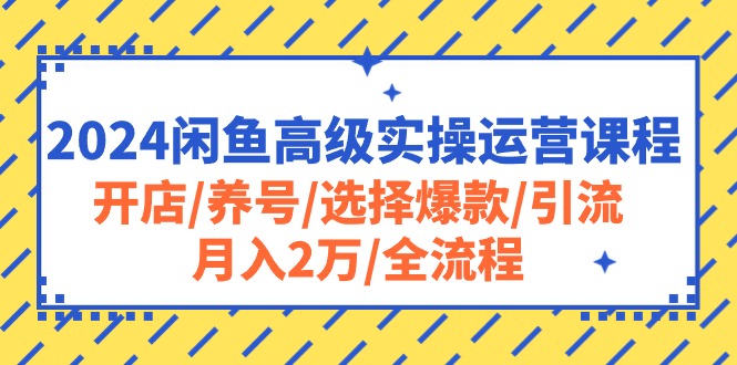 （10711期）2024闲鱼高级实操运营课程：开店/养号/选择爆款/引流/月入2万/全流程-天孤无涯网
