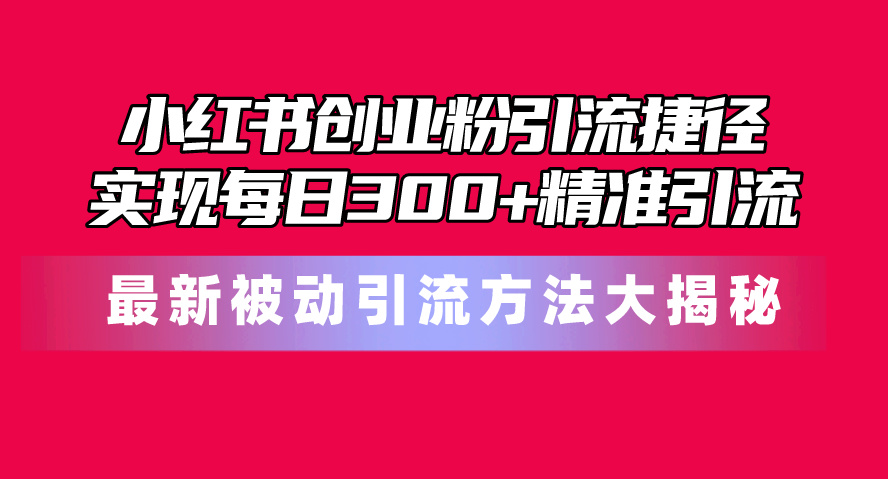 （10692期）小红书创业粉引流捷径！最新被动引流方法大揭秘，实现每日300+精准引流-天孤无涯网