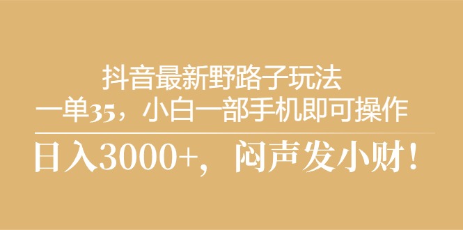 （10766期）抖音最新野路子玩法，一单35，小白一部手机即可操作，，日入3000+，闷…-天孤无涯网