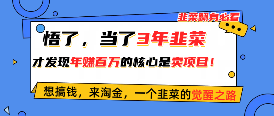 （10759期）悟了，当了3年韭菜，才发现网赚圈年赚100万的核心是卖项目，含泪分享！-天孤无涯网