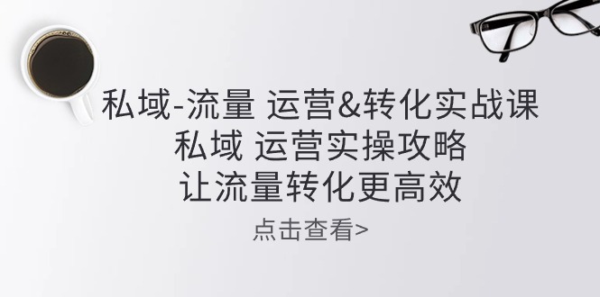 （10739期）私域-流量 运营&转化实操课：私域 运营实操攻略 让流量转化更高效-天孤无涯网