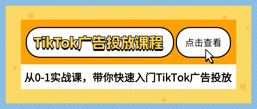 （10731期）TikTok广告投放课程，从0-1实战课，带你快速入门TikTok广告投放（30节课）-天孤无涯网