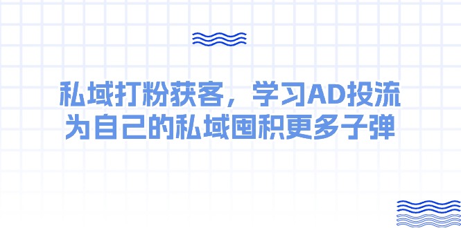 （10728期）某收费课：私域打粉获客，学习AD投流，为自己的私域囤积更多子弹-天孤无涯网