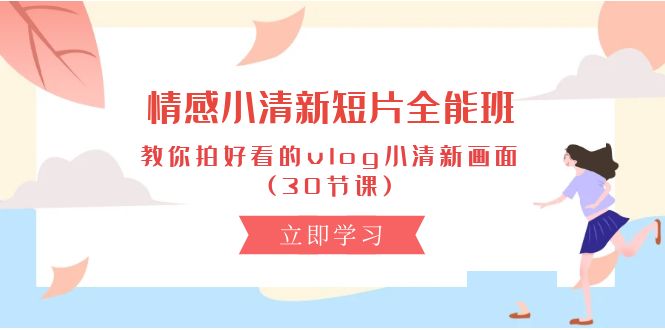 （10567期）情感 小清新短片-全能班，教你拍好看的vlog小清新画面 (30节课)-天孤无涯网