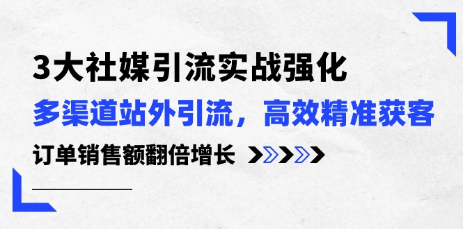 （10563期）3大社媒引流实操强化，多渠道站外引流/高效精准获客/订单销售额翻倍增长-天孤无涯网