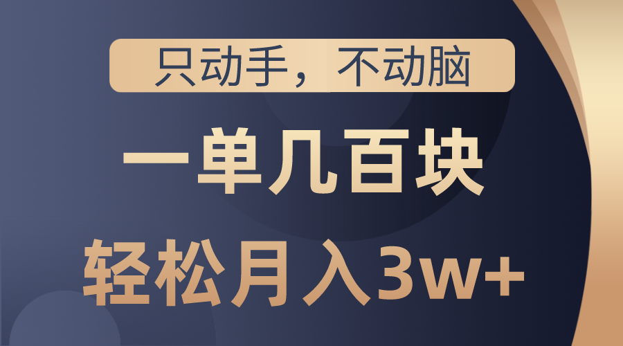 （10561期）只动手不动脑，一单几百块，轻松月入3w+，看完就能直接操作，详细教程-天孤无涯网