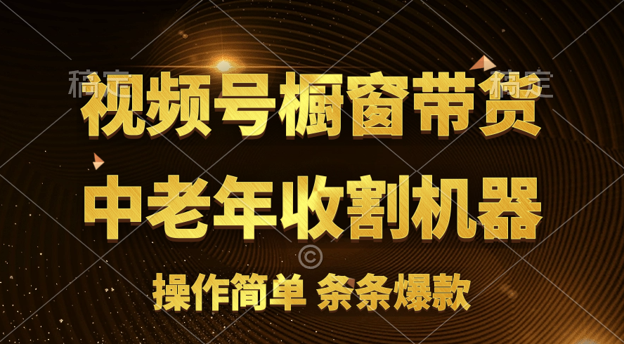 （11009期）[你的孩子成功取得高位]视频号最火爆赛道，橱窗带货，流量分成计划，条…-天孤无涯网