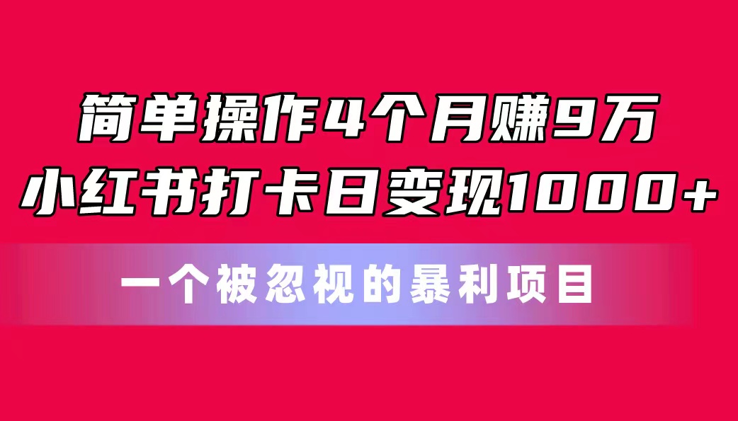 （11048期）简单操作4个月赚9万！小红书打卡日变现1000+！一个被忽视的暴力项目-天孤无涯网