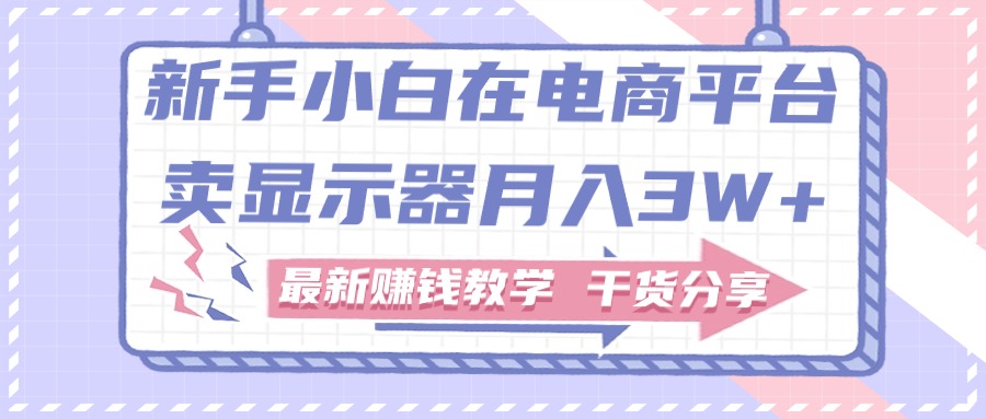 （11053期）新手小白如何做到在电商平台卖显示器月入3W+，最新赚钱教学干货分享-天孤无涯网