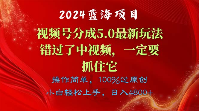 （11032期）2024蓝海项目，视频号分成计划5.0最新玩法，错过了中视频，一定要抓住…-天孤无涯网