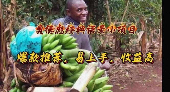 （11030期）奥德彪经典语录小项目，爆款推荐，易上手，收益高-天孤无涯网