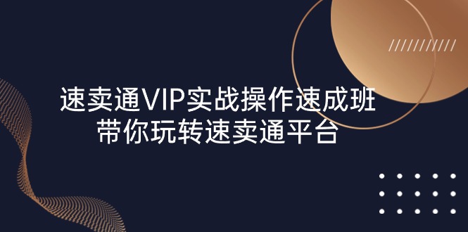 （10935期）速卖通 VIP实战操作-速成班，带你玩转速卖通平台（23节）-天孤无涯网
