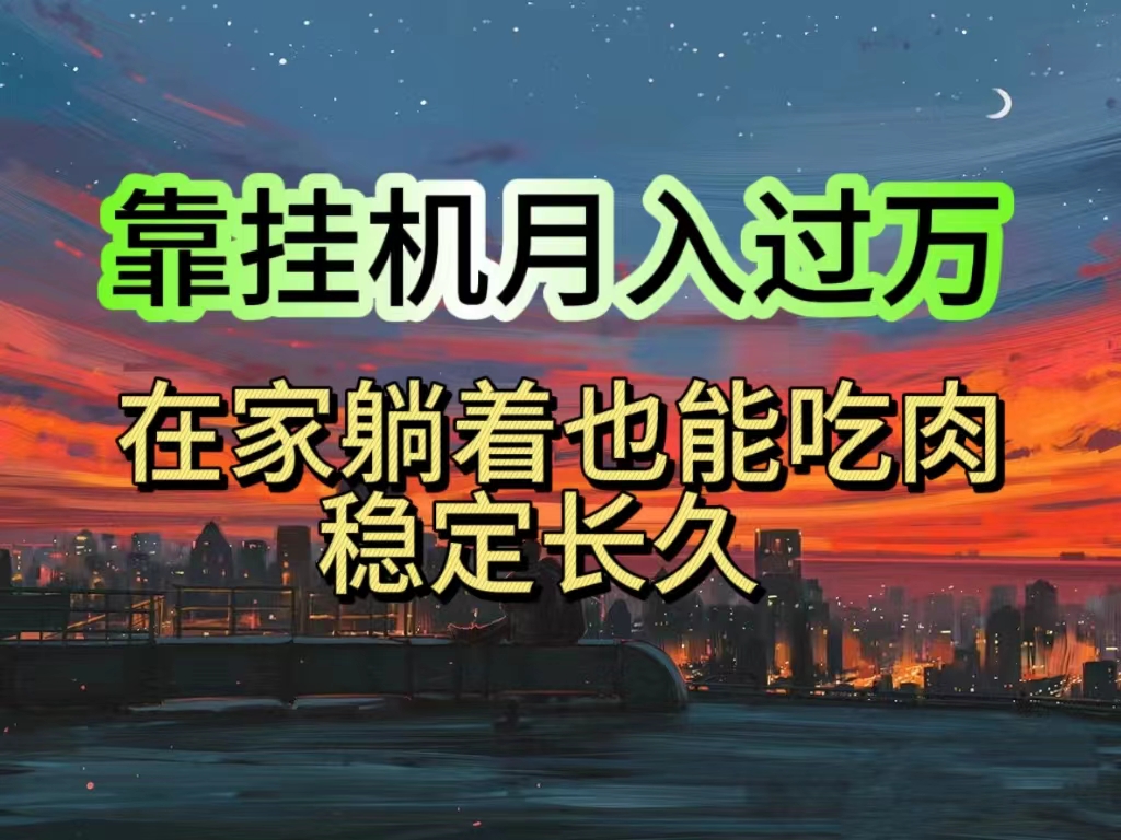 （10921期）挂机项目日入1000+，躺着也能吃肉，适合宝爸宝妈学生党工作室，电脑手…-天孤无涯网