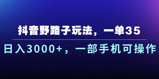 （10909期）抖音野路子玩法，一单35.日入3000+，一部手机可操作-天孤无涯网