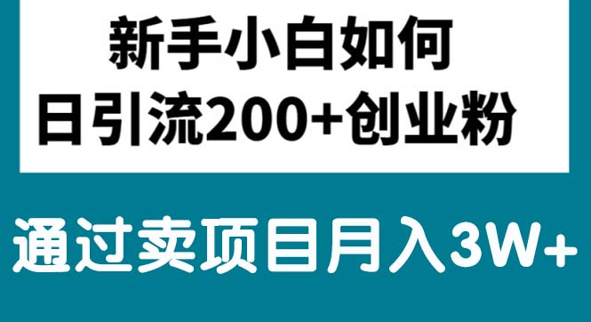 （10843期）新手小白日引流200+创业粉,通过卖项目月入3W+-天孤无涯网