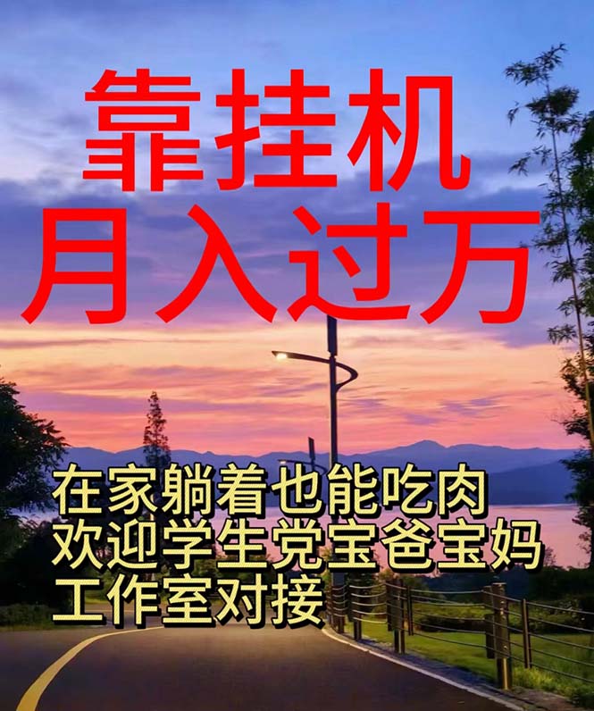 （10838期）靠挂机，日入1000+，躺着也能吃肉，适合宝爸宝妈学生党工作室，电脑手…-天孤无涯网