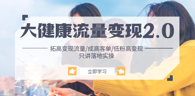 （10871期）大健康 流量 变现2.0：拓高变现 流量/成高客单/低粉高变现/只讲落地实战-天孤无涯网