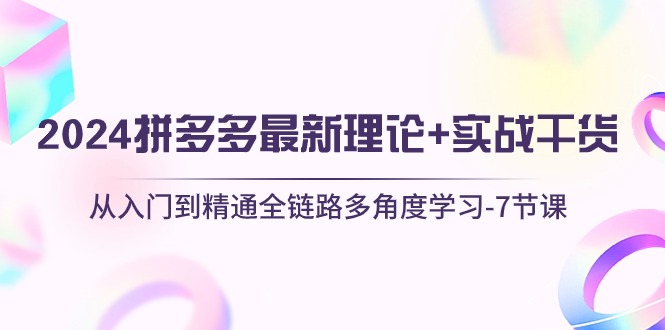 （10816期）2024拼多多 最新理论+实战干货，从入门到精通全链路多角度学习-7节课-天孤无涯网