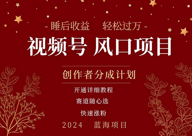 （11331期）拥有睡眠收益的微信视频号大风口项目，轻松月入过万+，多赛道选择，可…-天孤无涯网