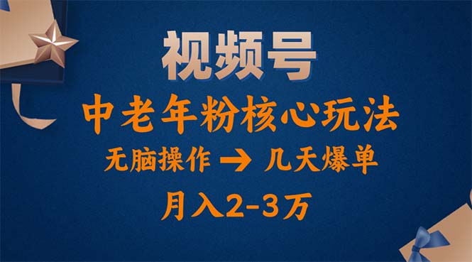 （11288期）视频号火爆玩法，高端中老年粉核心打法，无脑操作，一天十分钟，月入两万-天孤无涯网