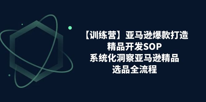 （11210期）【训练营】亚马逊爆款打造之精品开发SOP，系统化洞察亚马逊精品选品全流程-天孤无涯网
