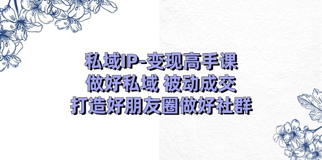 （11209期）私域IP-变现高手课：做好私域 被动成交，打造好朋友圈做好社群（18节）-天孤无涯网