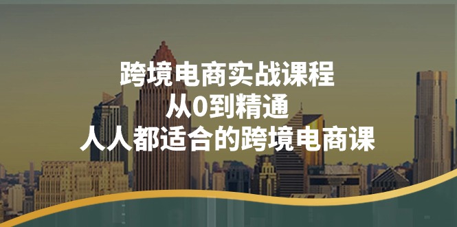 （11183期）跨境电商实战课程：从0到精通，人人都适合的跨境电商课（14节课）-天孤无涯网