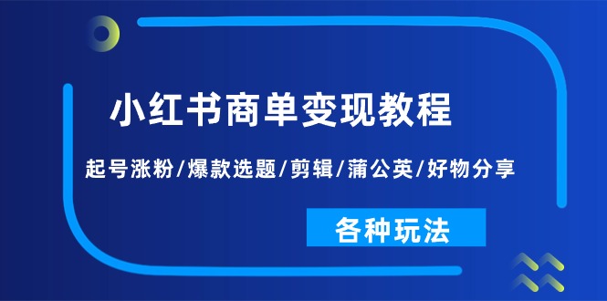 （11164期）小红书商单变现教程：起号涨粉/爆款选题/剪辑/蒲公英/好物分享/各种玩法-天孤无涯网
