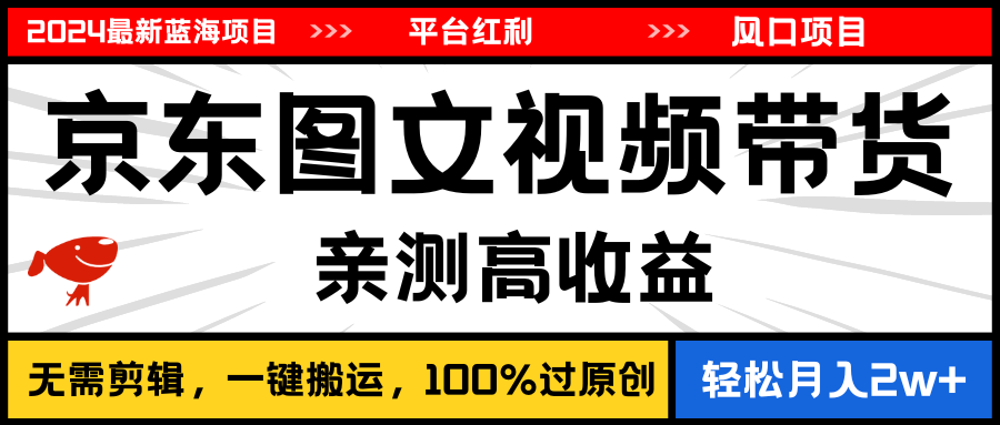 （11147期）2024最新蓝海项目，逛逛京东图文视频带货，无需剪辑，月入20000+-天孤无涯网