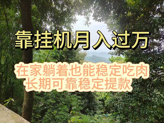 （11144期）挂机掘金，日入1000+，躺着也能吃肉，适合宝爸宝妈学生党工作室，电脑…-天孤无涯网