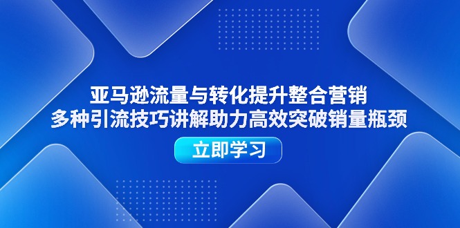 （11335期）亚马逊流量与转化提升整合营销，多种引流技巧讲解助力高效突破销量瓶颈-天孤无涯网