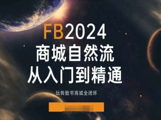 2024Faceboo商城自然流(从入门到精通)，玩转脸书商城全闭环-天孤无涯网
