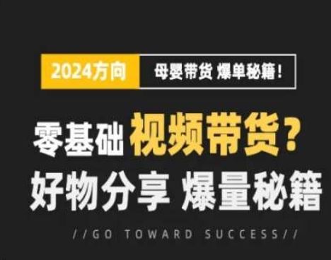 短视频母婴赛道实操流量训练营，零基础视频带货，好物分享，爆量秘籍-天孤无涯网