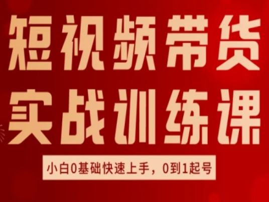 短视频带货实战训练课，好物分享实操，小白0基础快速上手，0到1起号-天孤无涯网