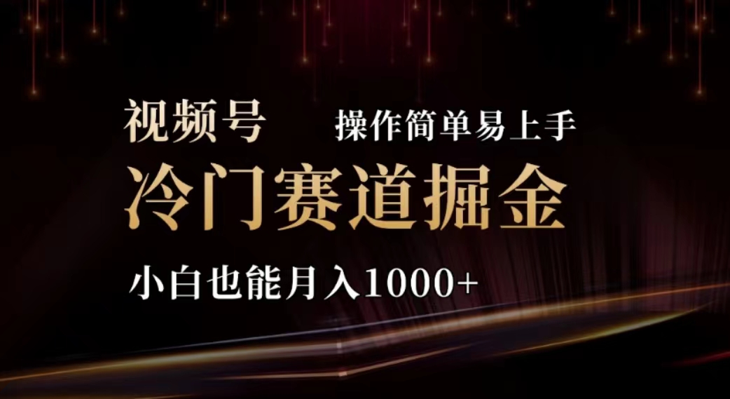 （11378期）2024视频号冷门赛道掘金，操作简单轻松上手，小白也能月入1000+-天孤无涯网