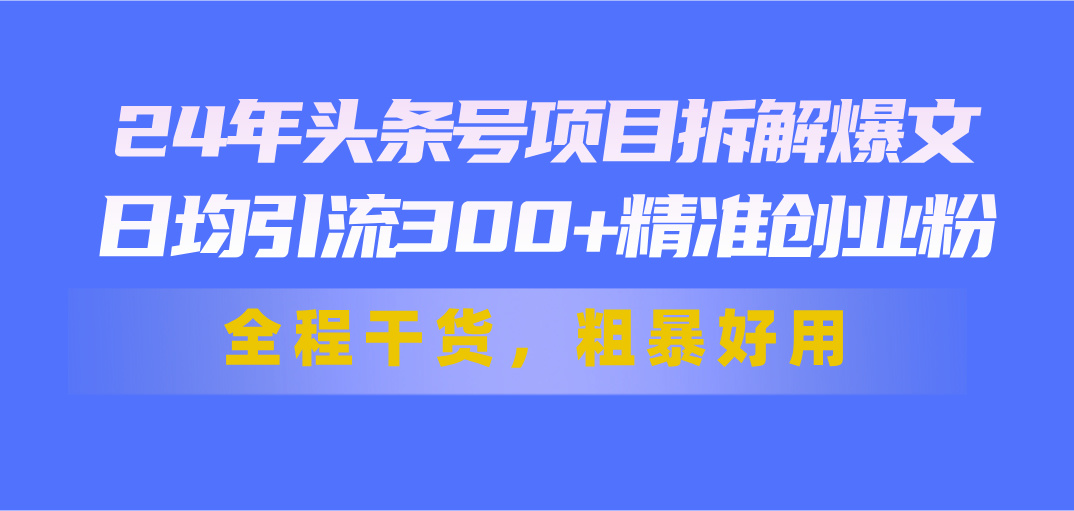 （11397期）24年头条号项目拆解爆文，日均引流300+精准创业粉，全程干货，粗暴好用-天孤无涯网